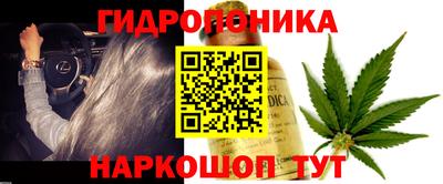 PSILOCYBIN Бугуруслан