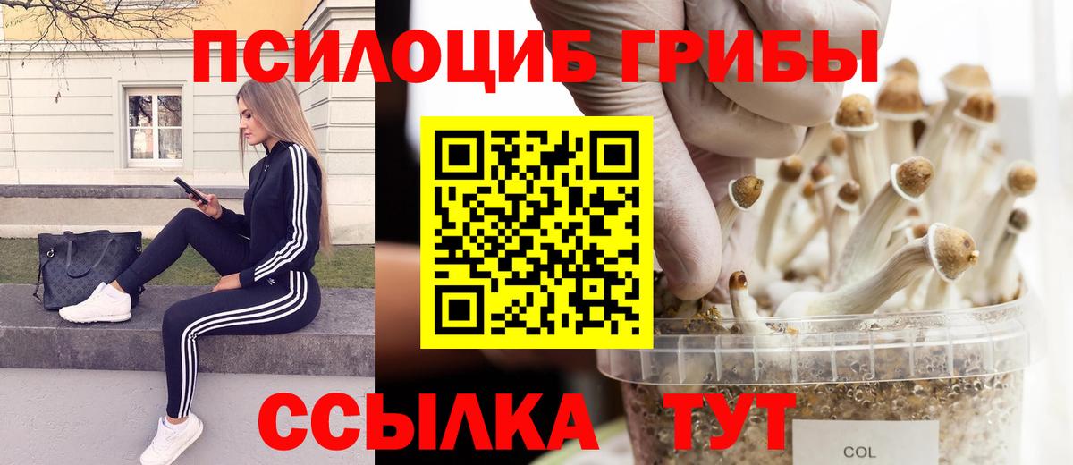 Прохладный  Канабис  КЕТАМИН  Alpha-PVP СК кристаллы  Вход с VPN  COCAIN  Мефедрон   ГАШ 