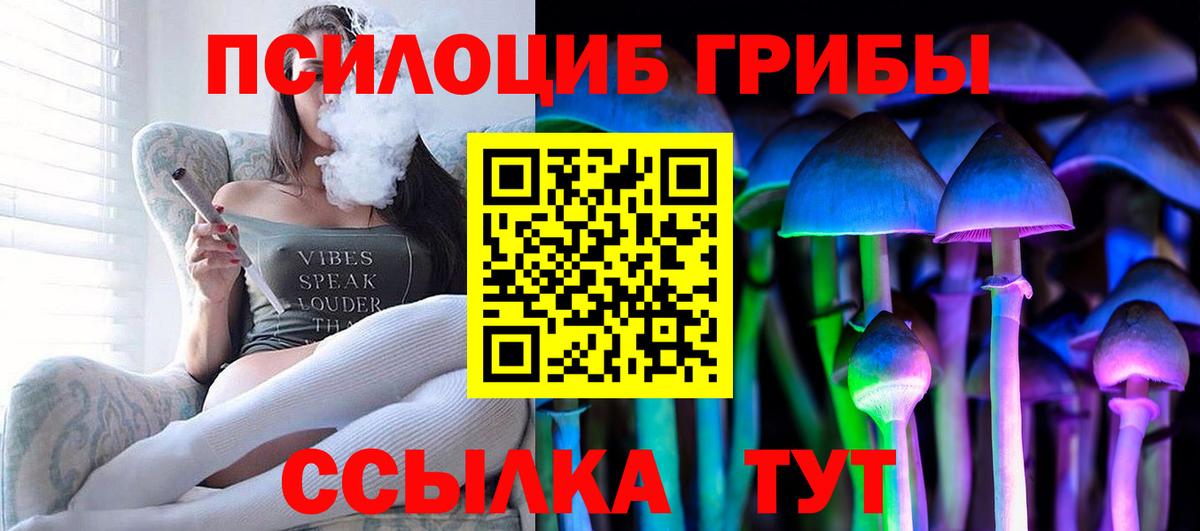 Псилоцибиновые грибы Cubensis  купить  сайты  Прохладный  Вход с VPN 